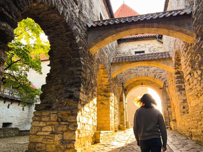 Монастырь Клостернойбург: старейшее виноделие и сокровища в пригороде Вены